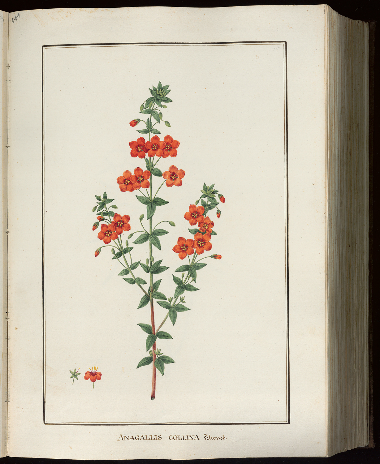 Selección de poemas de Samuel Solórzano