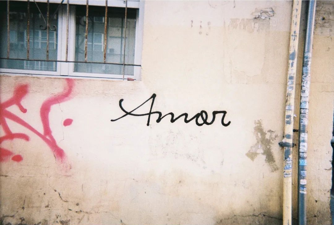 Tonto corazón: postales desde el páramo