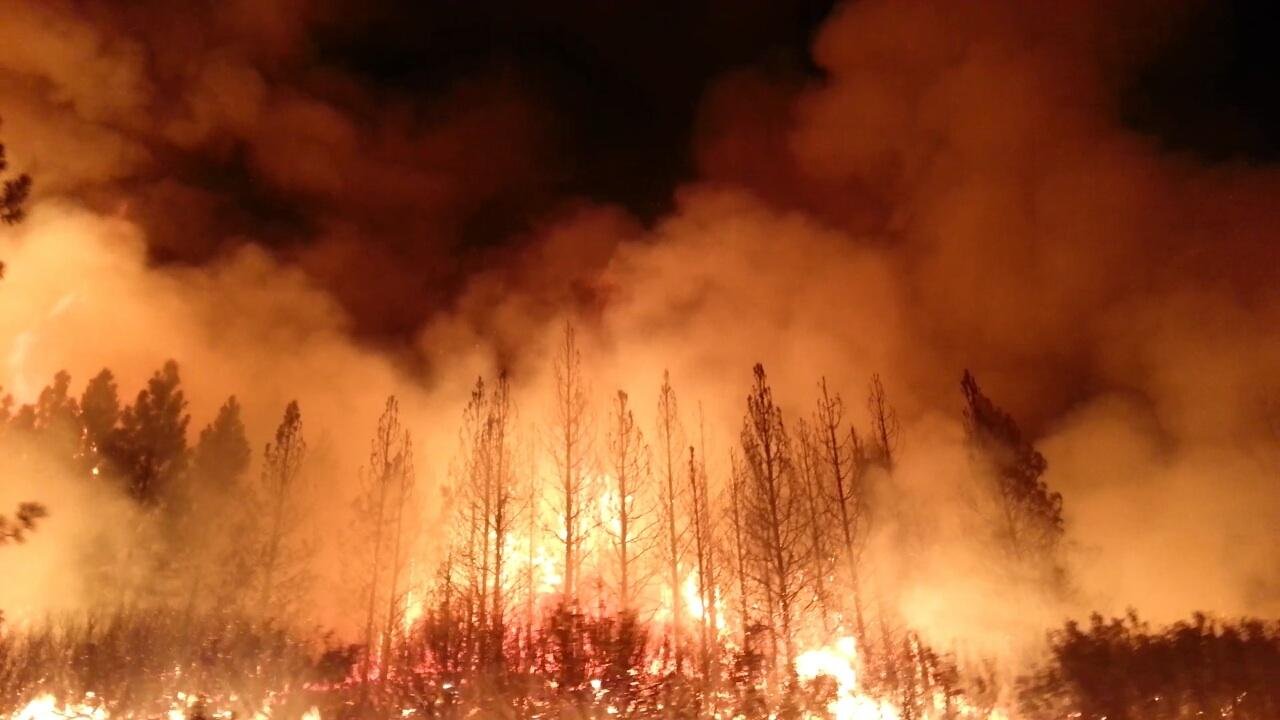 Los veranos que perdimos en el fuego